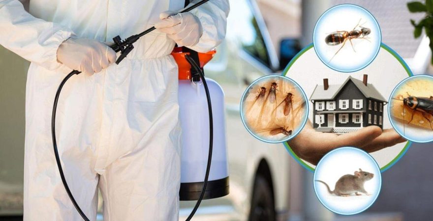 Bozcaada Böcek İlaçlama