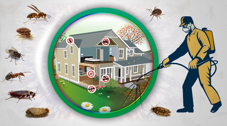 Bozcaada Böcek İlaçlama