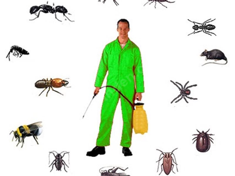 Bozcaada Böcek İlaçlama